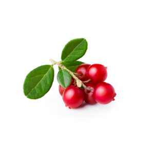 LaFroza külmutatud pohl