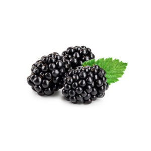 LaFroza külmutatud kultuurpõldmari