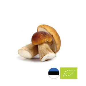 Külmutatud puravikukuup LaFroza Bio, mahe valik Eestist aastaringselt