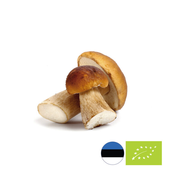 Külmutatud puravikukuup LaFroza Bio, mahe valik Eestist aastaringselt